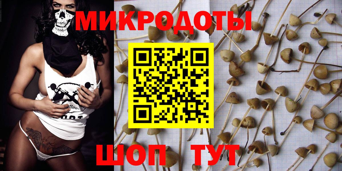Псилоцибиновые грибы мицелий Ярцево