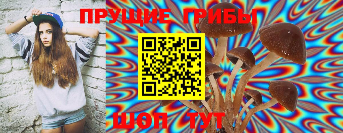 Ярцево  Псилоцибиновые грибы Magic Shrooms  Псилоцибиновые грибы мухоморы  Вход с VPN 